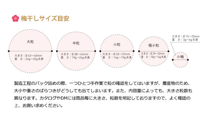 梅干しサイズ表