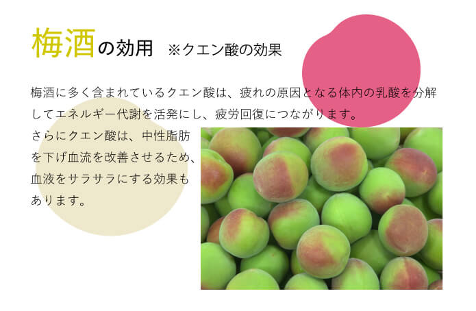 梅酒の効用
