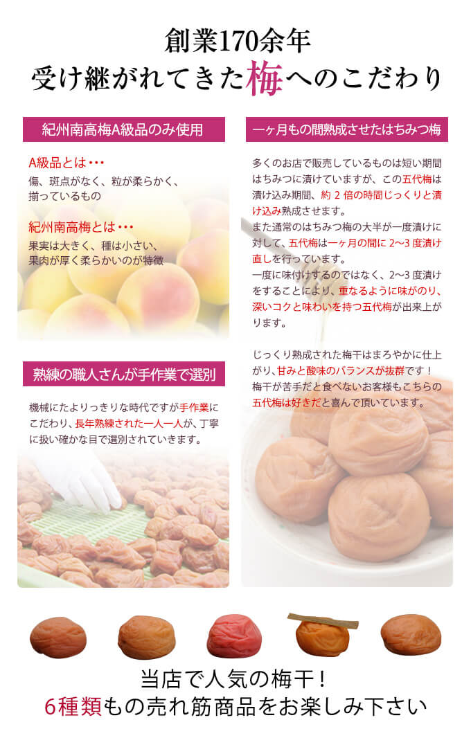 創業170余年 受け継がれてきた梅へのこだわり 当店で人気の梅干!6種類もの売れ筋商品をお楽しみ下さい
