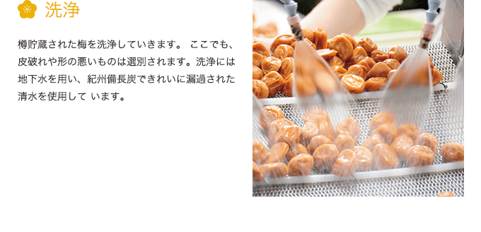 洗浄