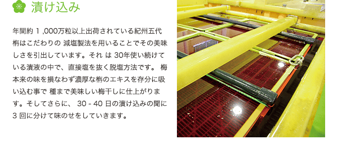漬け込み