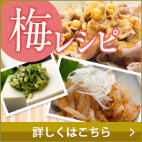 五代庵の美味しい梅酒