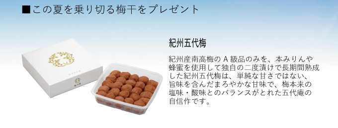 紀州五代梅について