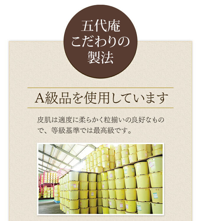高級 紀州五代梅600g 家庭用プラ容器 megjc.gov.jm