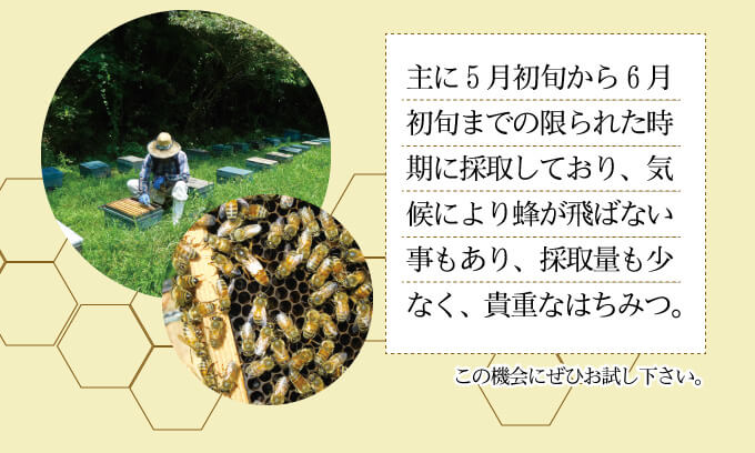 蜂蜜の詳細