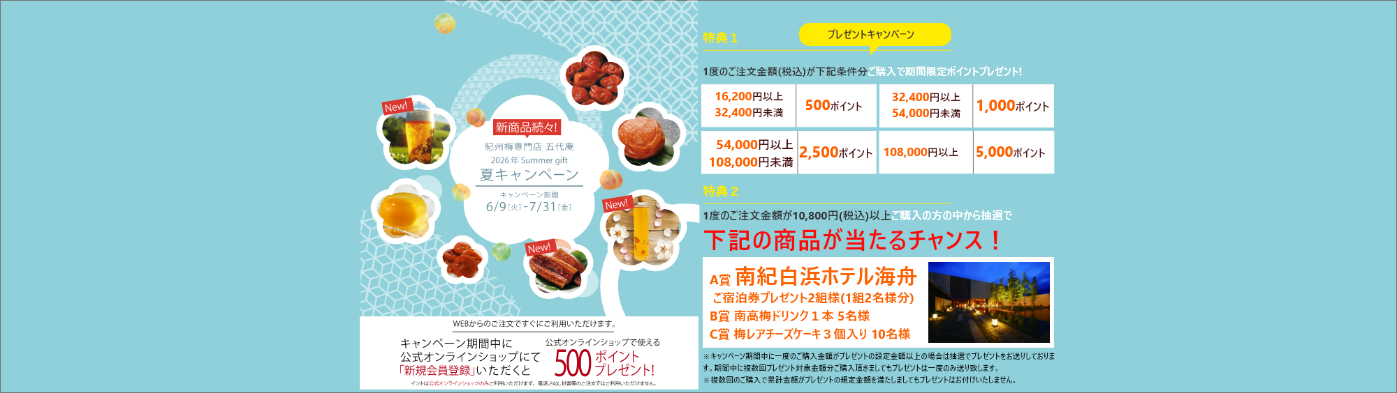 梅干し