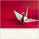 敬老の日のお祝いの贈り物